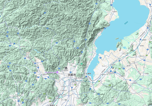 Google Maps(地形)